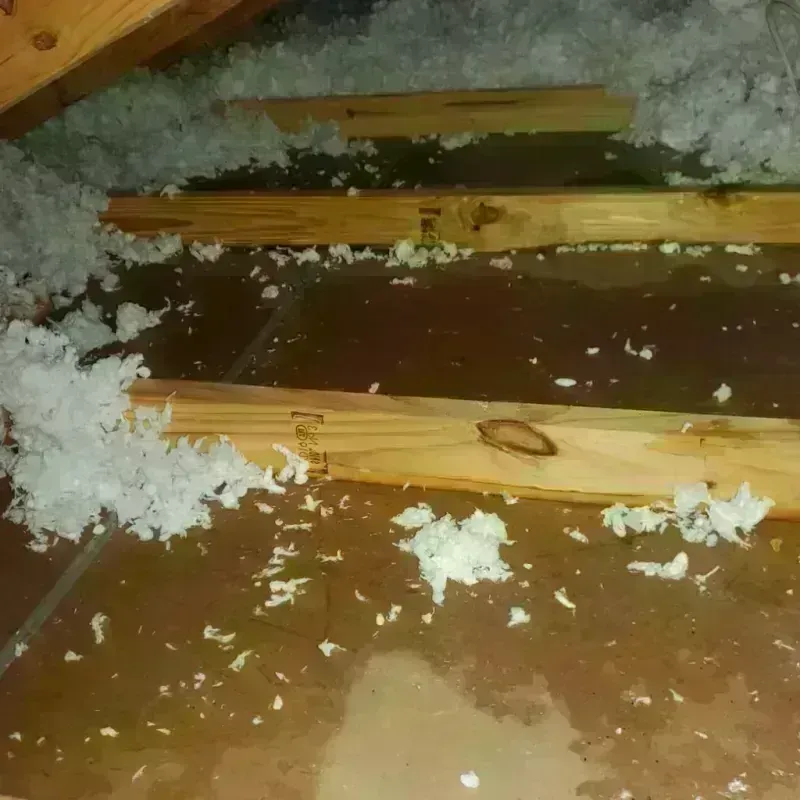 Attic Water Damage in Ashley, PA