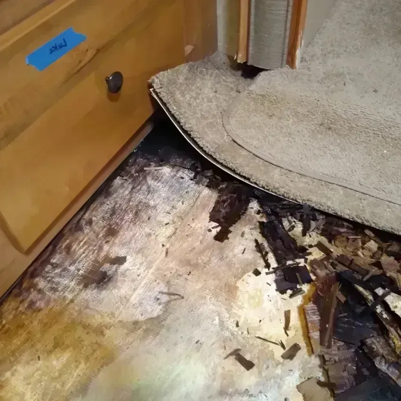 Wood Floor Water Damage in Ashley, PA